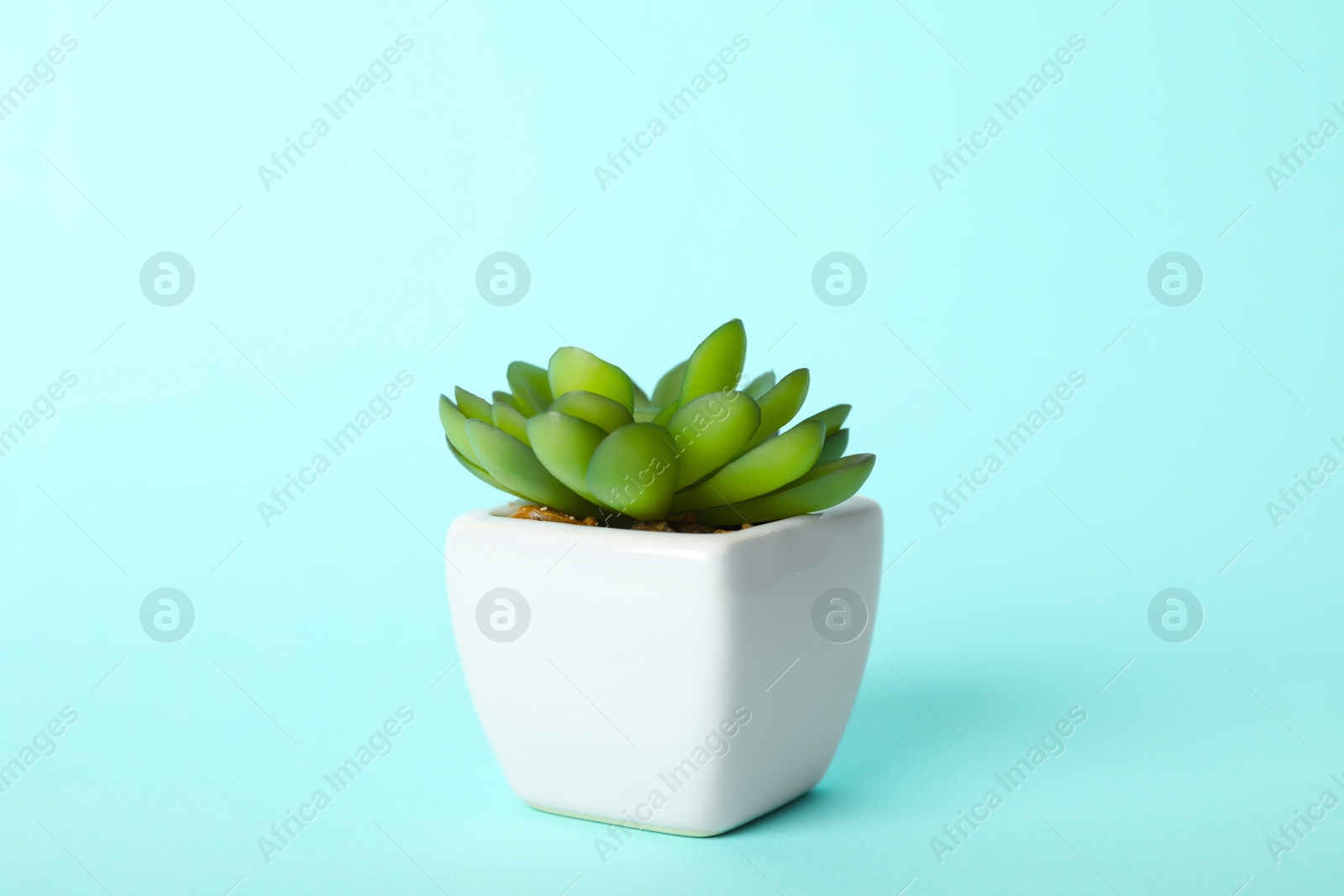 Photo of Artificial plant in flower pot on light blue background