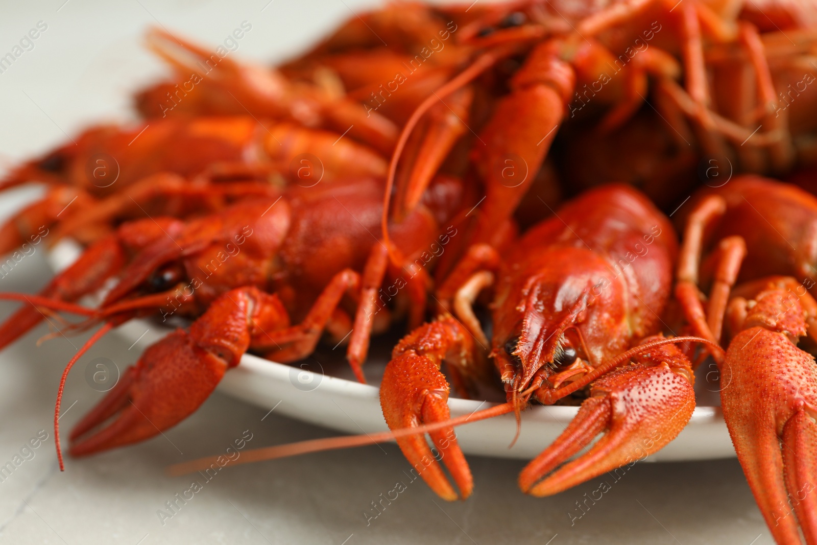 Photo of Delicious boiled crayfishes in plate, closeup view