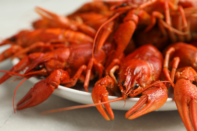 Delicious boiled crayfishes in plate, closeup view