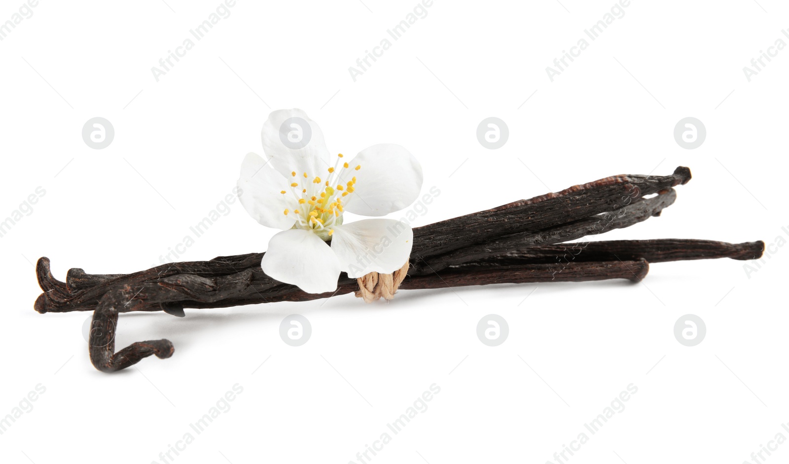 Photo of Aromatic vanilla sticks and flower on white background