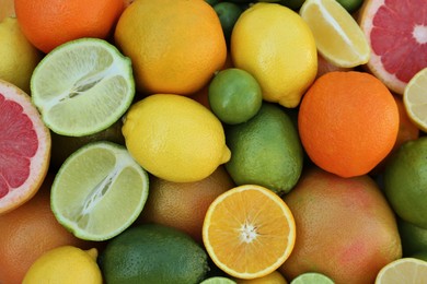 Different fresh citrus fruits as background, top view