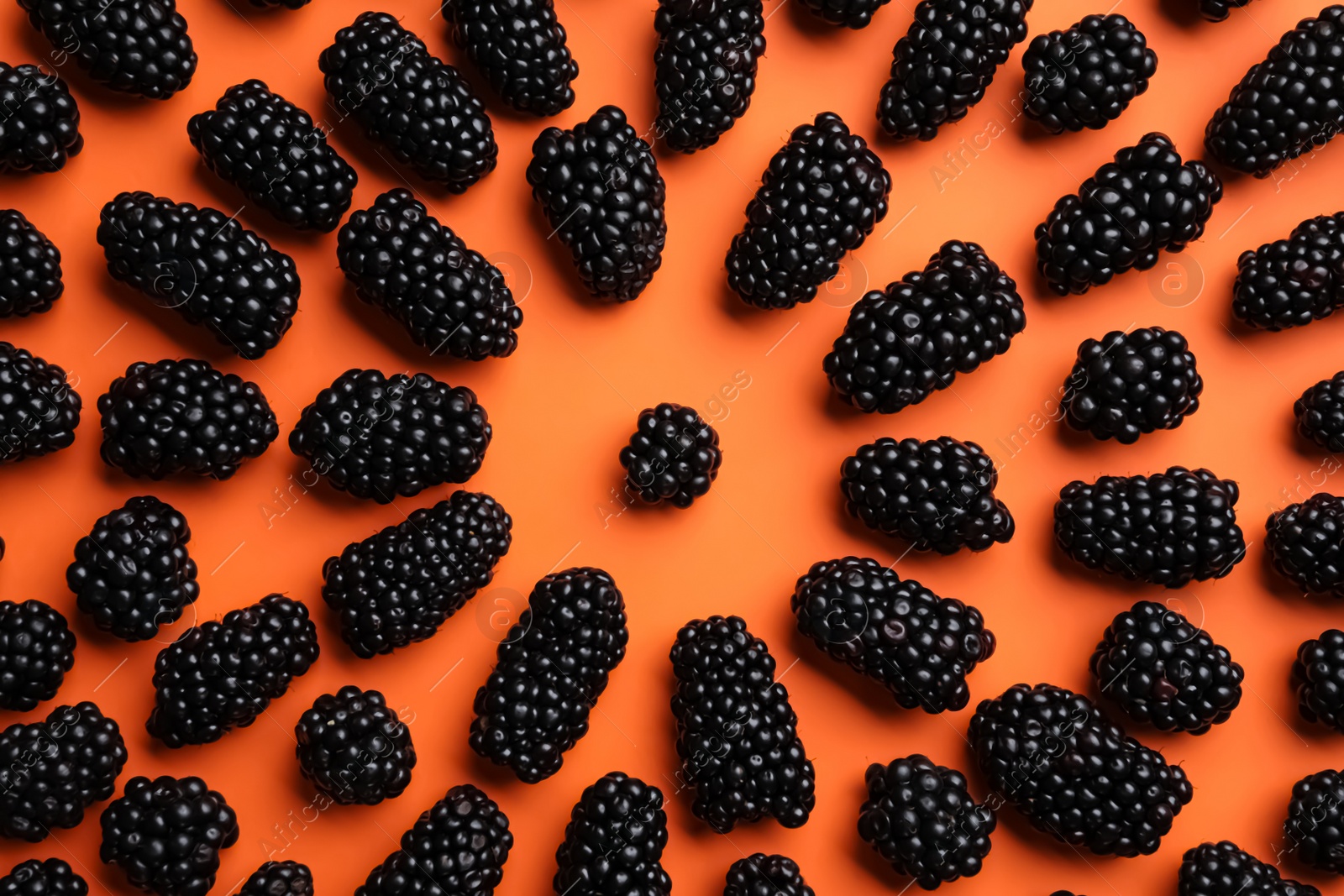 Photo of Flat lay composition with ripe blackberries on orange background