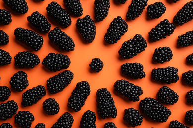 Flat lay composition with ripe blackberries on orange background