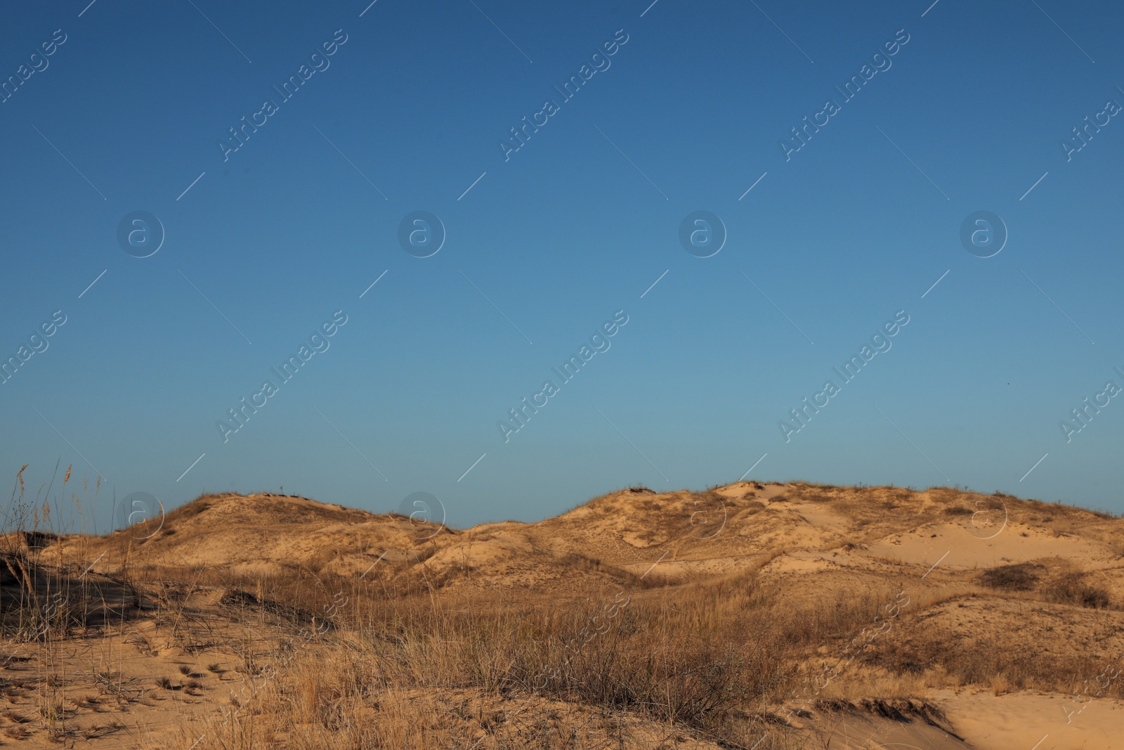 Photo of Picturesque view of desert on sunny day