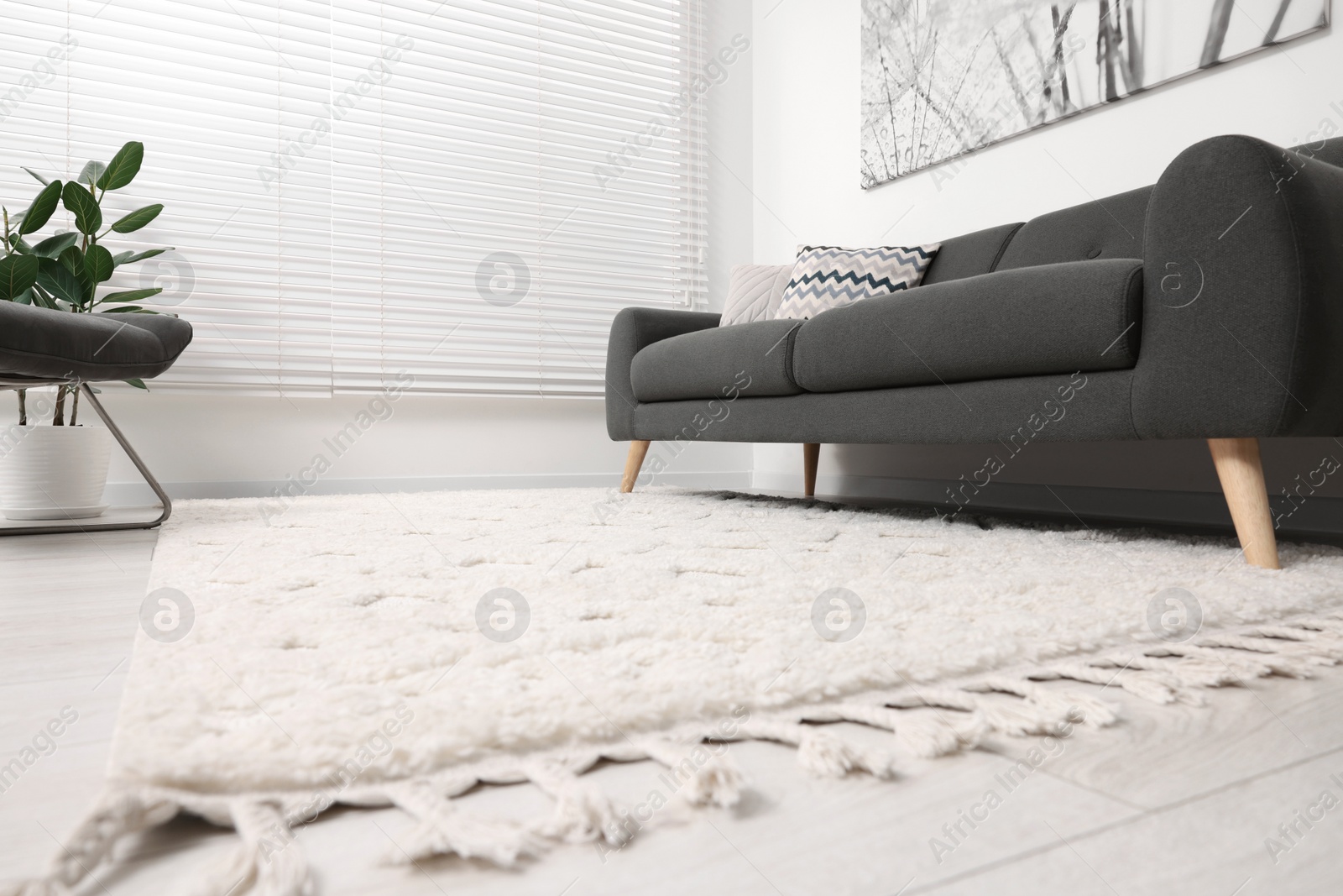 Photo of Soft carpet and stylish sofa in living room, low angle view. Modern interior