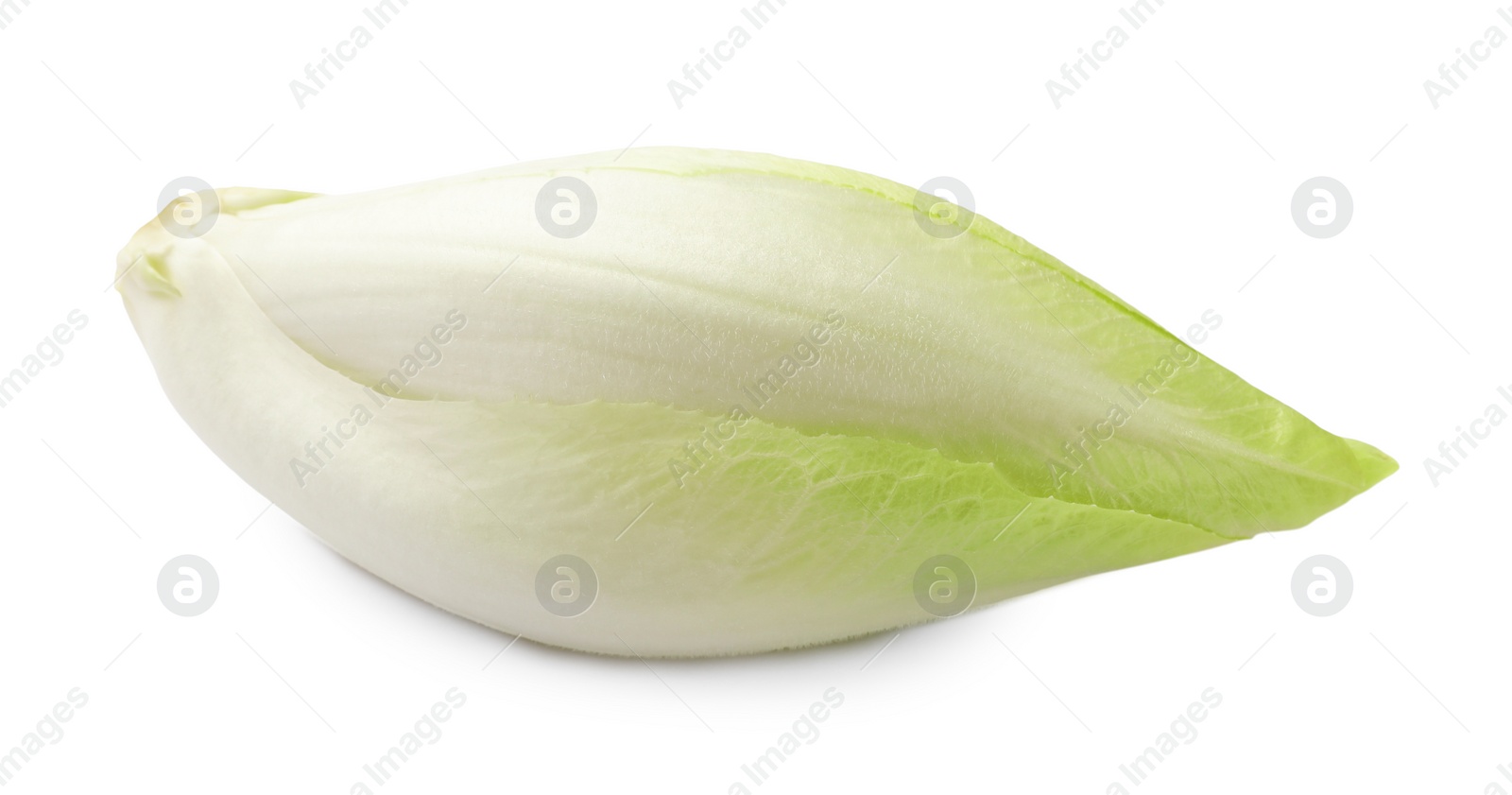 Photo of One raw ripe chicory isolated on white