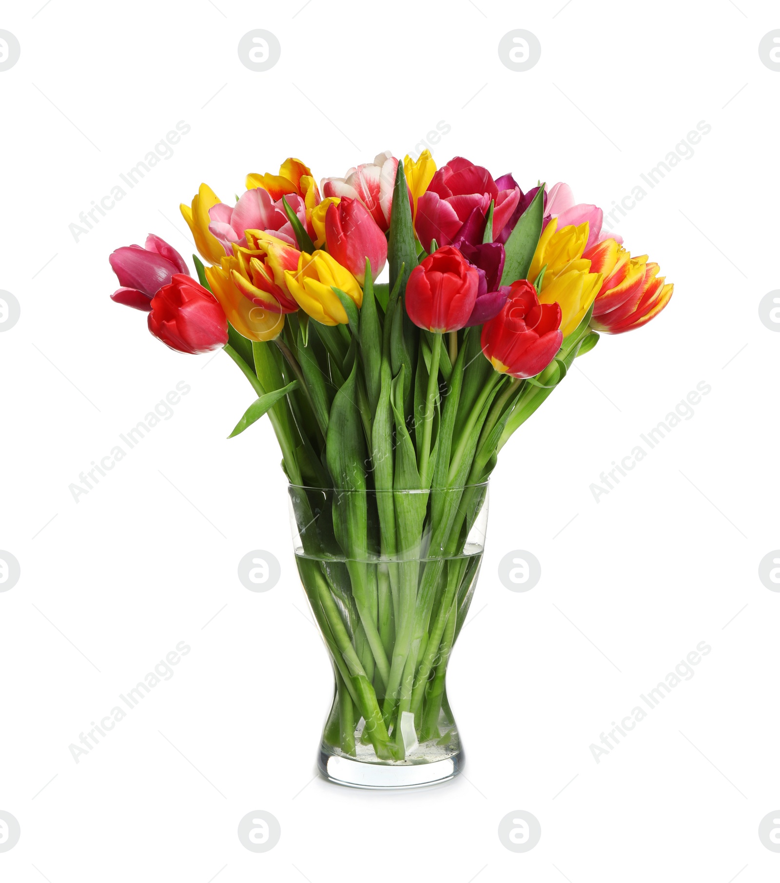 Photo of Beautiful spring tulips in vase isolated on white