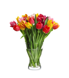Photo of Beautiful spring tulips in vase isolated on white