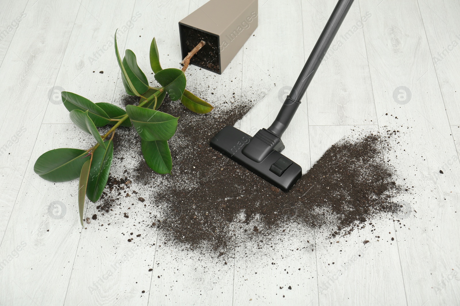 Photo of Removing soil from wooden floor with vacuum cleaner at home