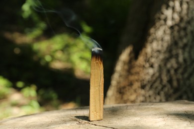 Smoldering palo santo stick on wooden stump outdoors