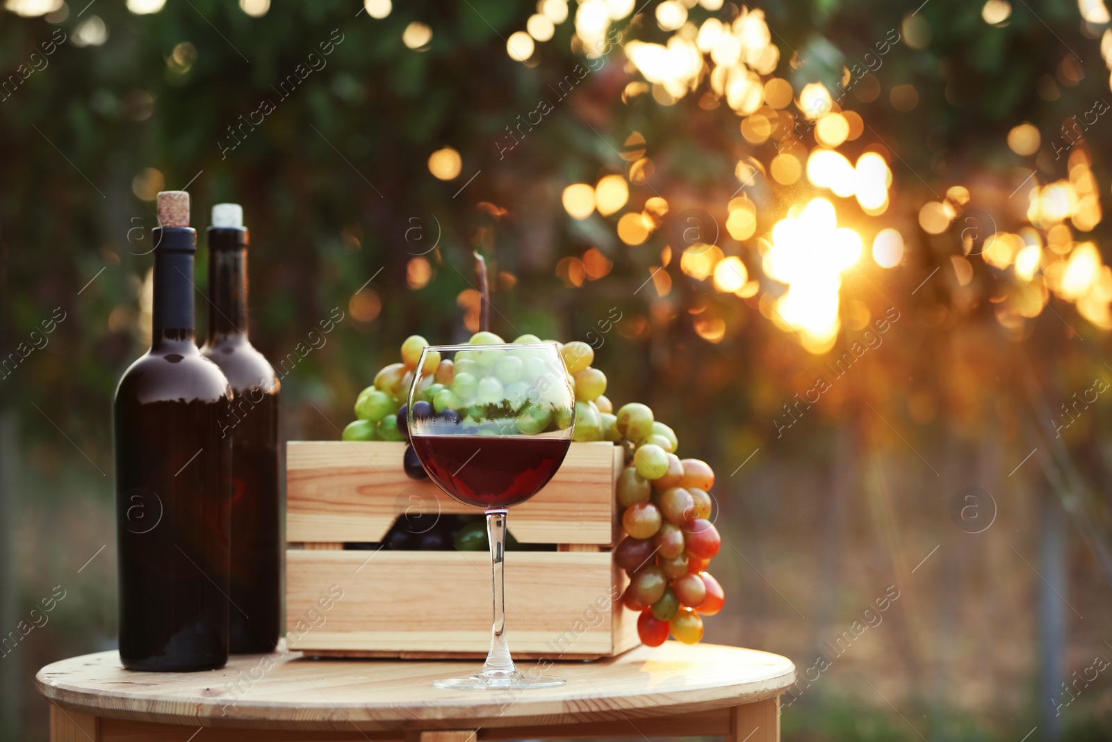 Photo of Bottles and glass of red wine with fresh grapes on wooden table in vineyard