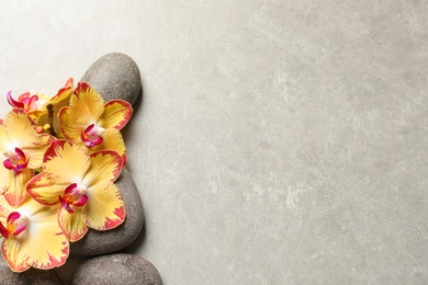 Flat lay composition with spa stones and orchid flowers on grey background. Space for text