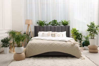 Photo of Large comfortable bed, lamp and beautiful houseplants in bedroom. Interior design