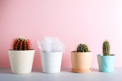 Photo of Cacti in flowerpots and one with feathers on color background. Be different