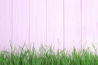 Fresh green grass near pink wooden fence. Space for text