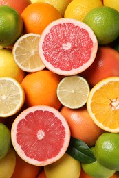 Different fresh citrus fruits as background, top view