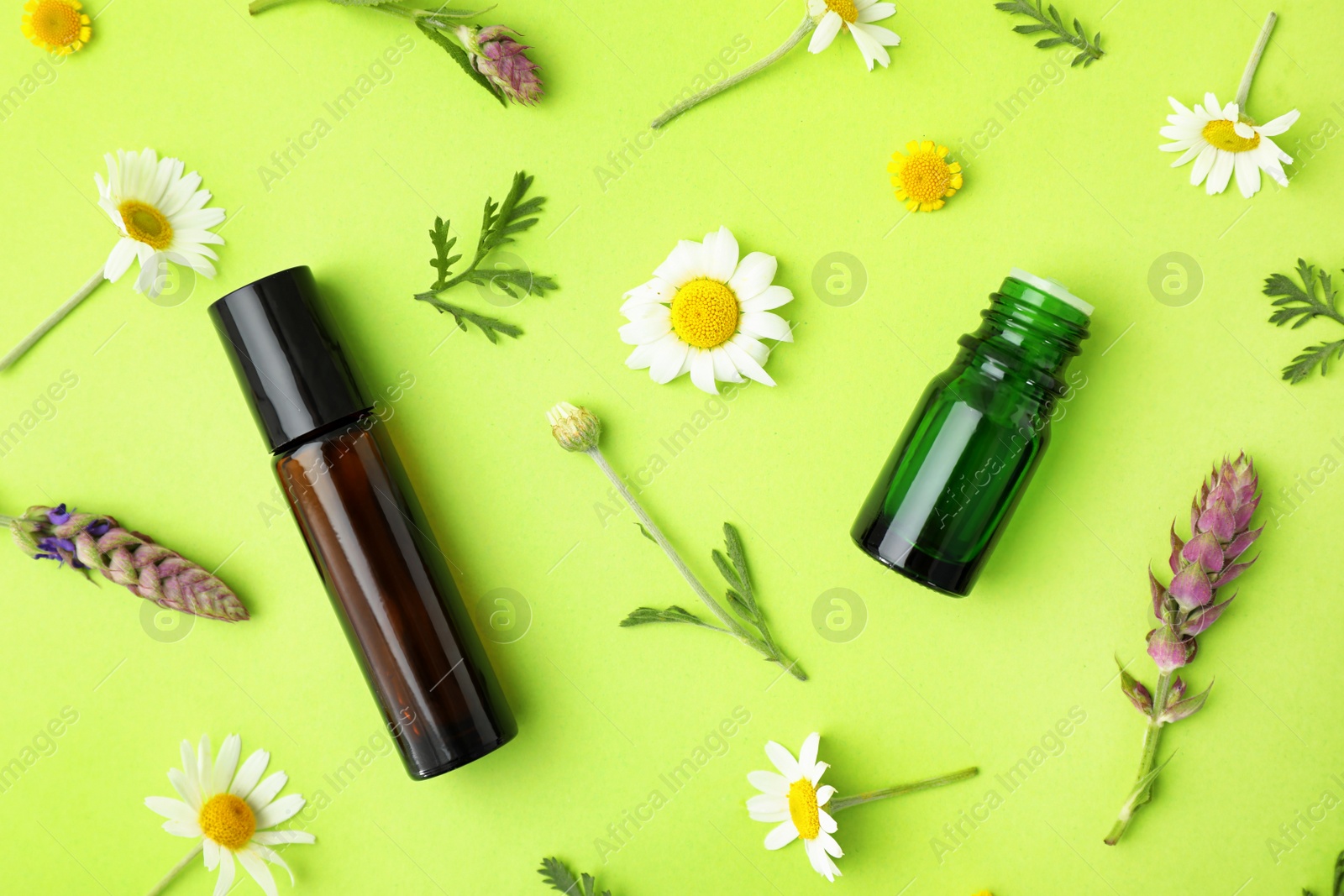 Photo of Bottles of different essential oils and wildflowers on color background, flat lay