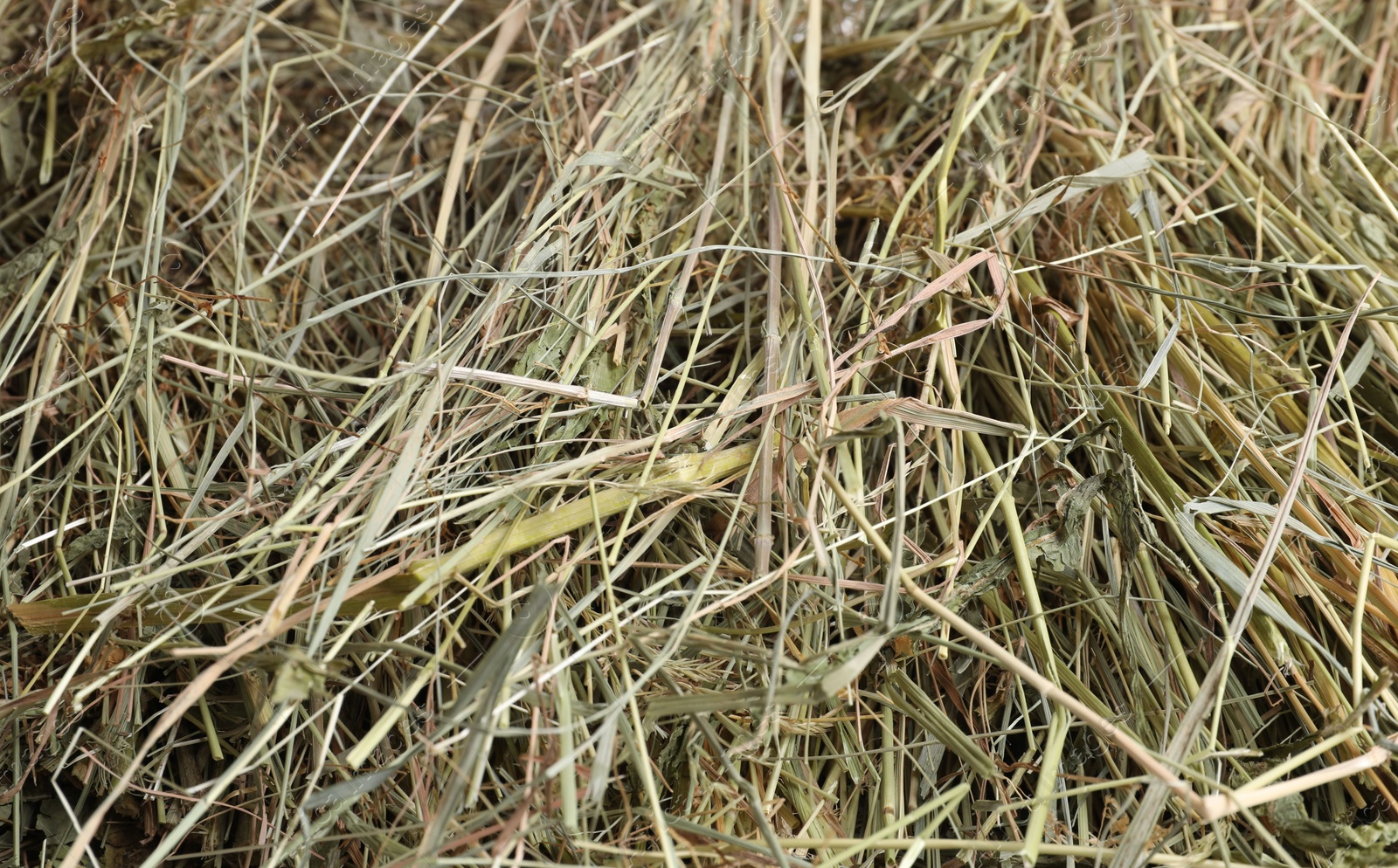 Photo of Pile of dried hay as background, closeup