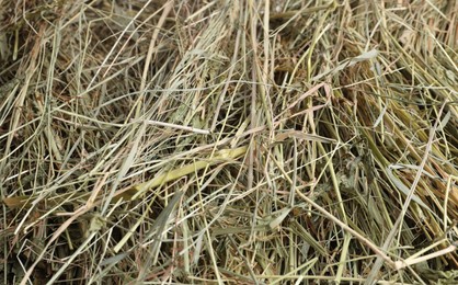 Photo of Pile of dried hay as background, closeup