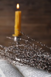 Photo of Bible, willow branches and burning candle on blurred background, closeup