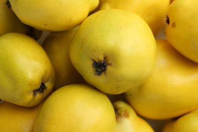 Delicious ripe quinces as background, closeup view