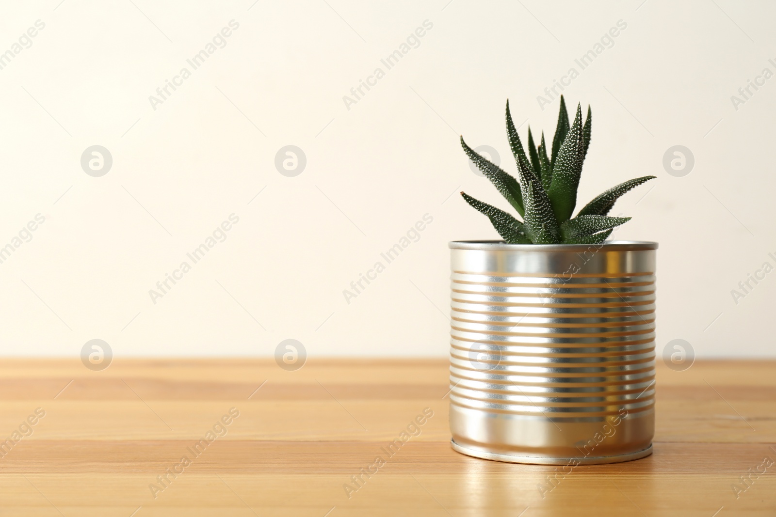 Photo of Houseplant in tin can on wooden table, closeup. Space for text
