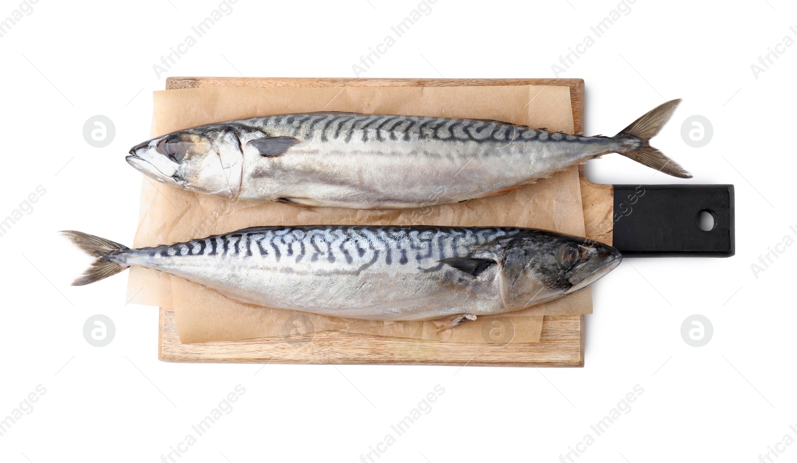 Photo of Tasty salted mackerels isolated on white, top view