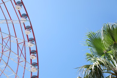 Photo of Beautiful large Ferris wheel and palm tree against blue sky