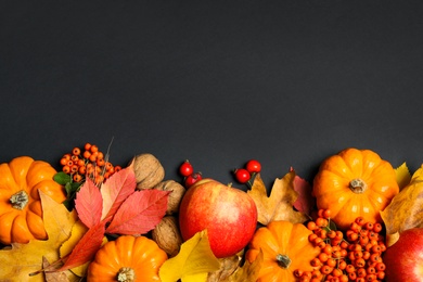 Photo of Flat lay composition with ripe pumpkins and autumn leaves on black background, space for text. Happy Thanksgiving day