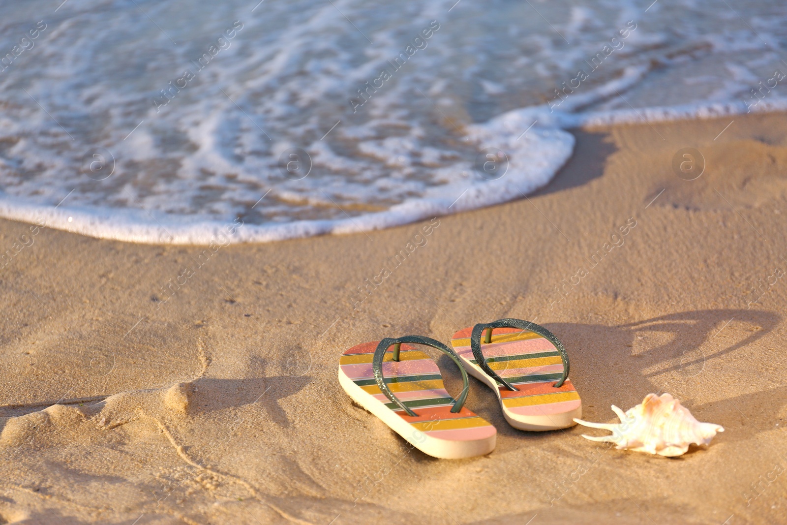 Photo of Stylish flip flops and shell on sand near sea, space for text. Beach accessories