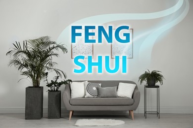 Image of Stylish living room interior with modern sofa and plants. Feng Shui philosophy 