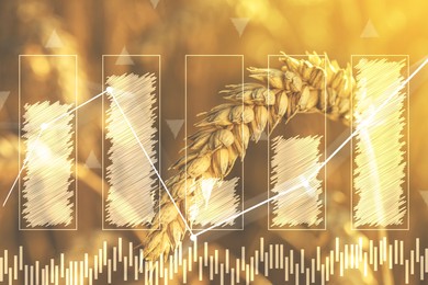 Grain prices. Wheat field and graphs, double exposure