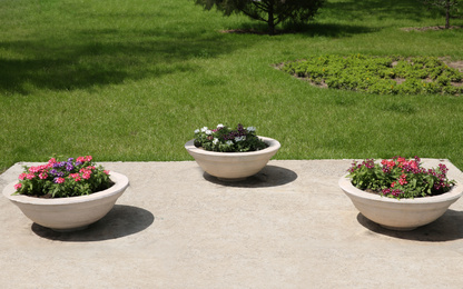 Beautiful colorful flowers in stone plant pots outdoors on sunny day