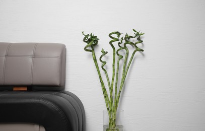 Photo of Vase with beautiful green bamboo stems near couch indoors