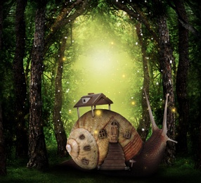 Fantasy world. Magic snail with its shell house moving in beautiful fairy forest