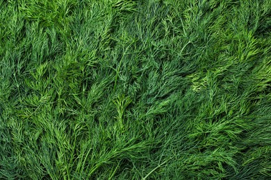 Green fresh dill as background, top view