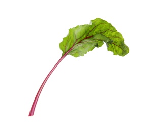 Leaf of fresh beet on white background