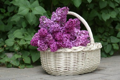 Photo of Beautiful lilac flowers in wicker basket outdoors