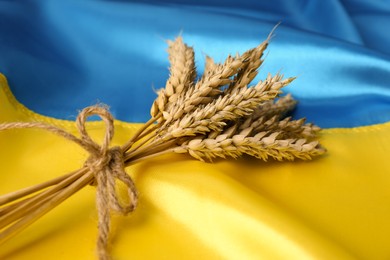 Bunch of wheat on Ukrainian national flag, closeup
