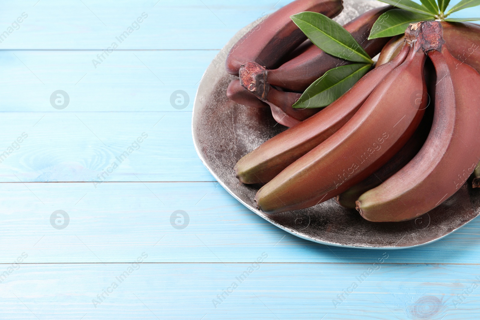 Photo of Tasty red baby bananas on light blue wooden table. Space for text