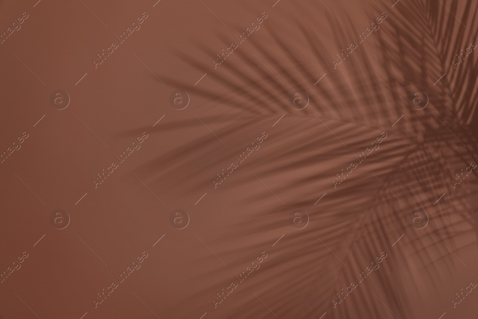 Photo of Shadows of tropical palm branches on brown wall. Space for text