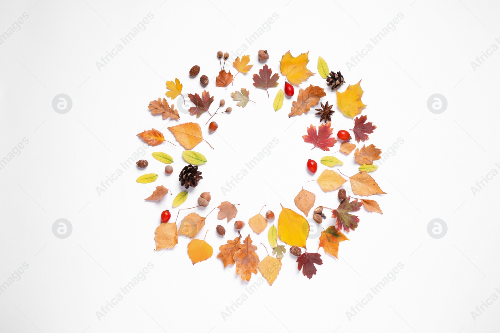 Photo of Frame made of autumn leaves on white background, top view. Space for text