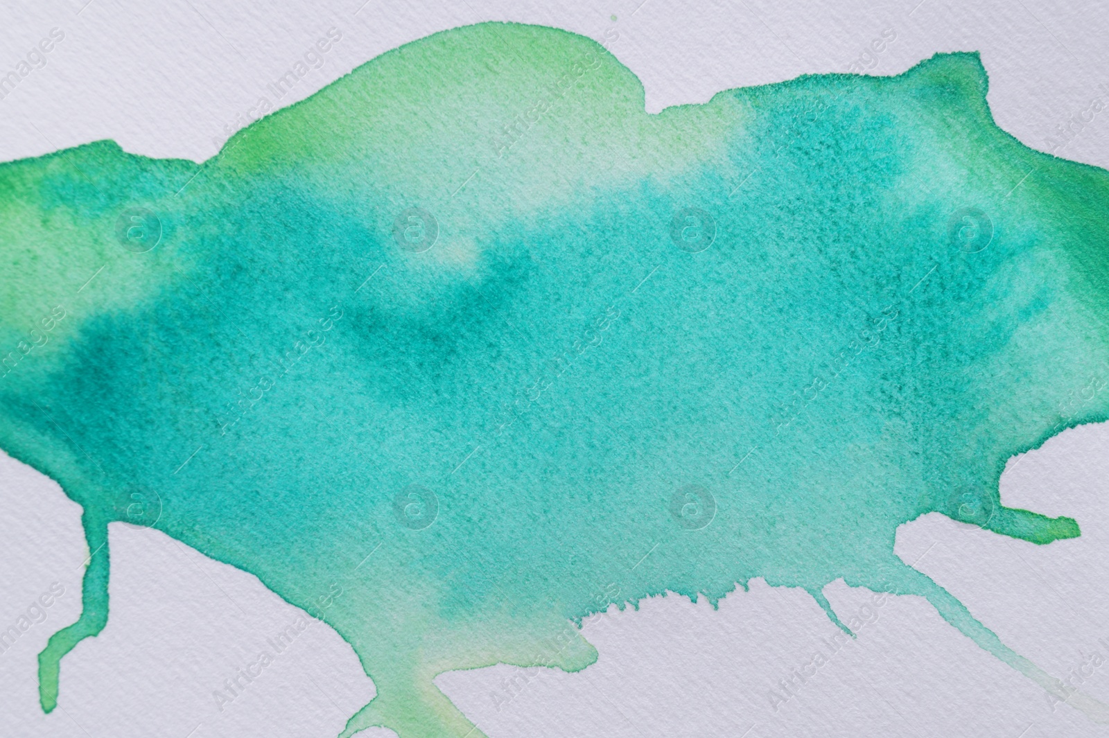 Photo of Green watercolor blot on white background, top view