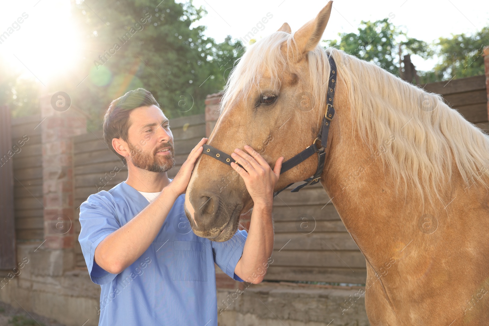 Photo of Veterinarian with adorable horse outdoors. Pet care