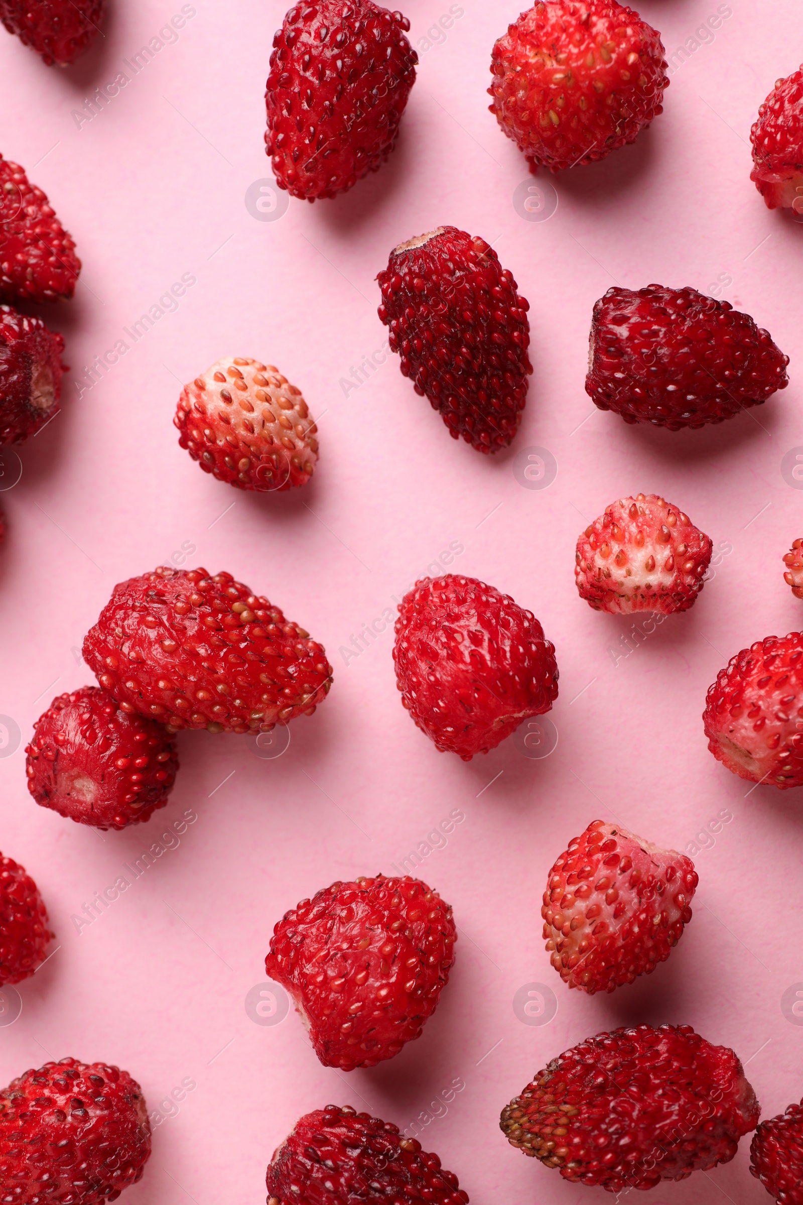 Photo of Many fresh wild strawberries on pink background, flat lay