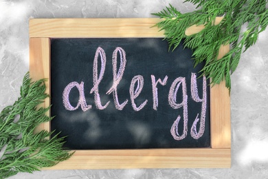 Ragweed (Ambrosia) and chalkboard with word ALLERGY on grey marble background, flat lay