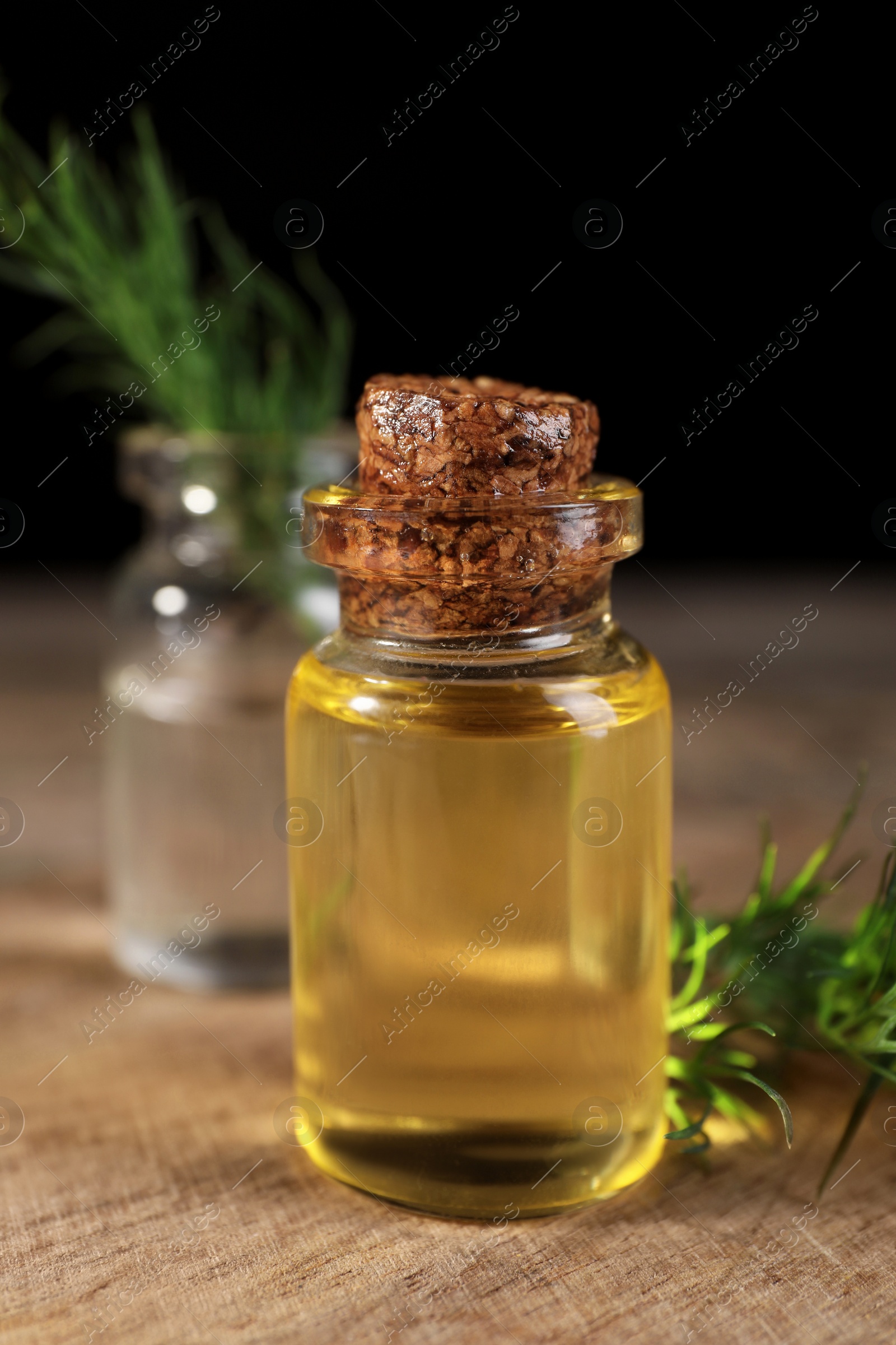 Photo of Bottles of essential oil and fresh dill on wooden table, closeup