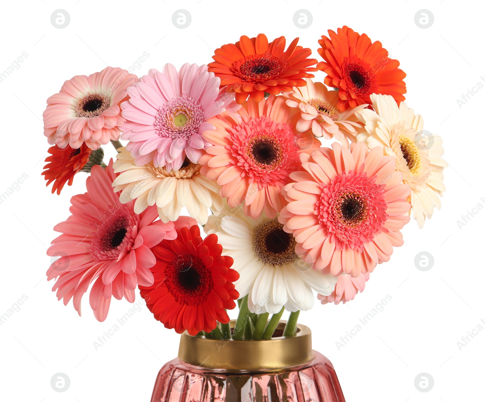 Photo of Bouquet of beautiful colorful gerbera flowers in vase on white background