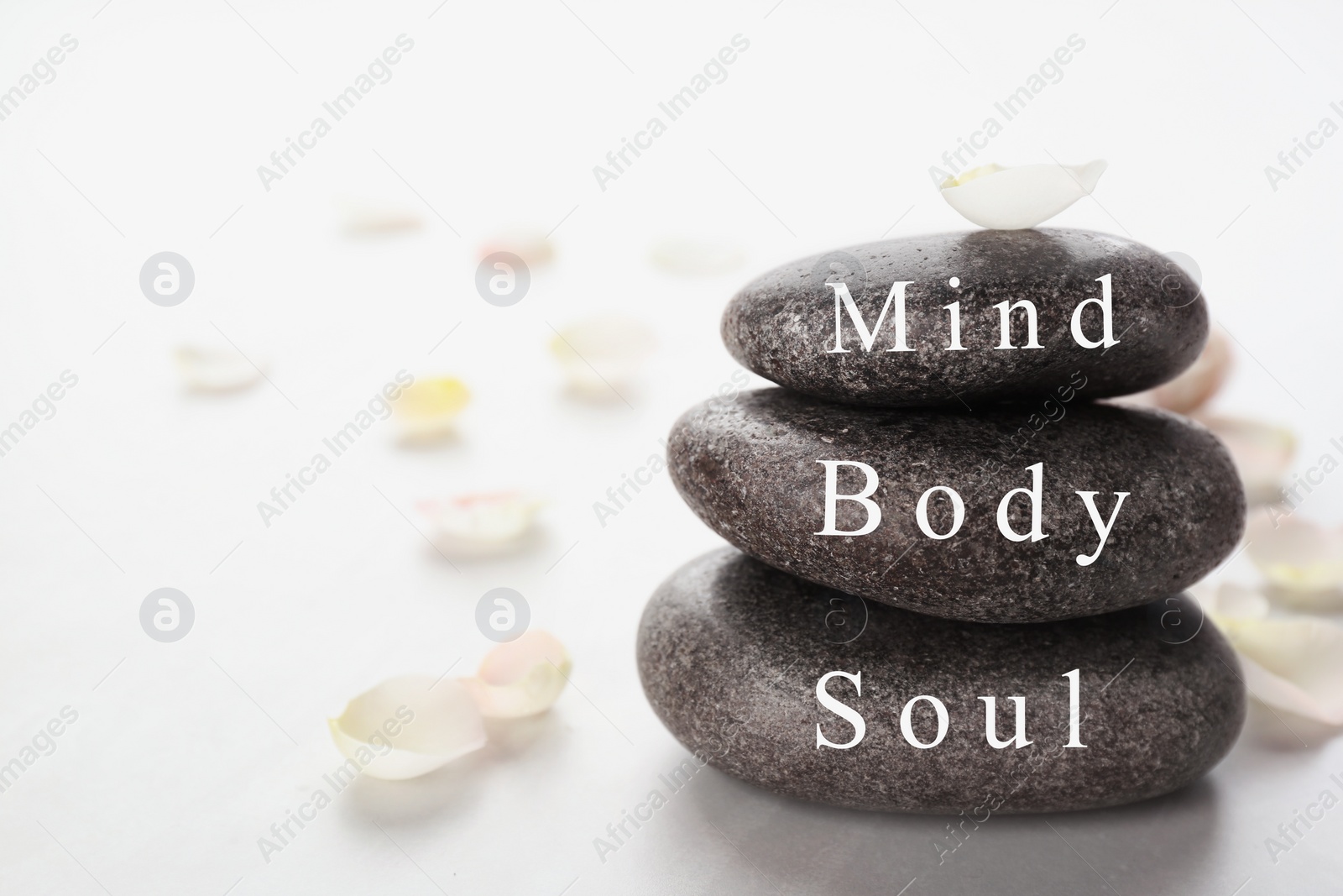 Photo of Stones with words MIND, BODY, SOUL and petals on light background, space for text. Zen lifestyle