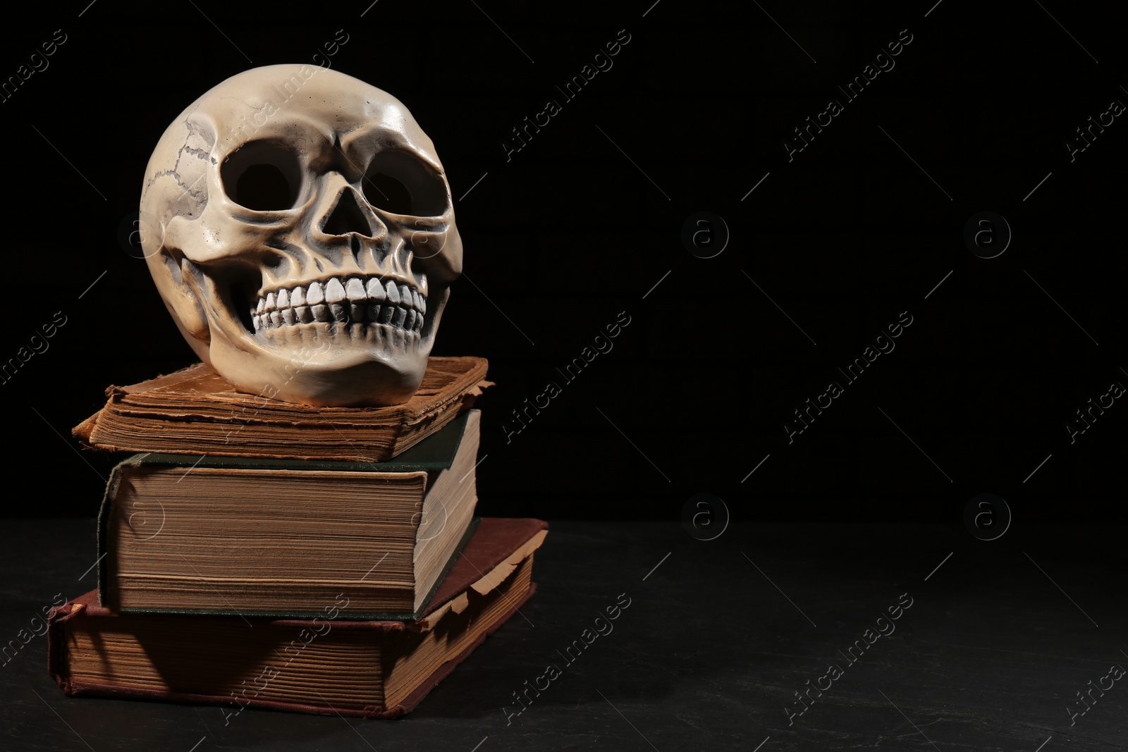 Photo of Human skull with books on black background, space for text